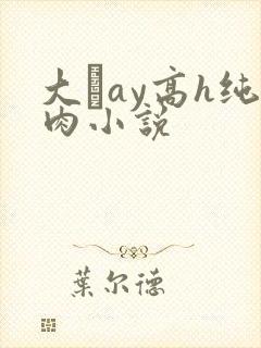 大舋ay高h纯肉小说