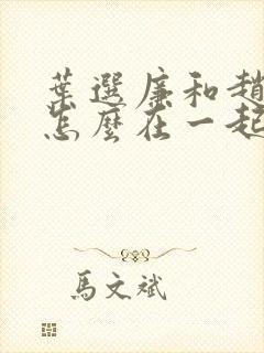 叶选廉和赵姨娘怎么在一起的?