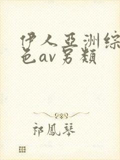 伊人亚洲综合网色av另类