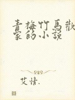 青梅竹马欢喜冤家的小说封面