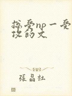 总受np一受多攻的文