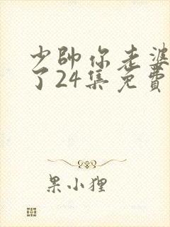 少帅你老婆又跑了24集免费观看