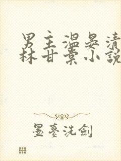 男主温晏清女主林甘棠小说