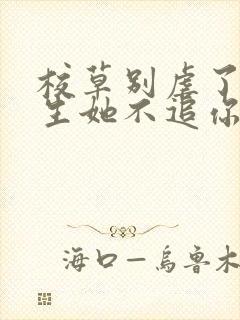 校草别虐了,重生她不追你了免费阅读全文