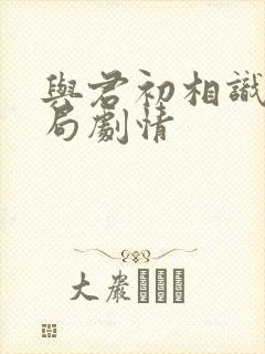 与君初相识大结局剧情