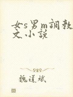 女s男m调教h文小说
