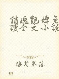 销魂艳婢免费阅读全文小说