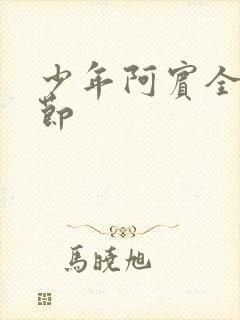 少年阿宾全文章节