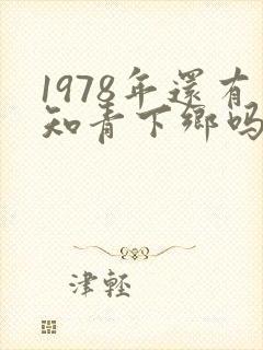 1978年还有知青下乡吗封面