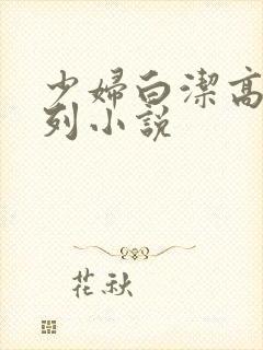 少妇白洁高义系列小说