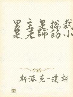 男主是总裁女主是老师的小说