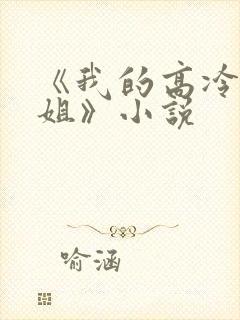 《我的高冷大小姐》小说