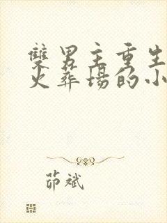 双男主重生追夫火葬场的小说