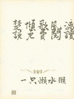 楚倾歌风漓夜小说免费阅读全文