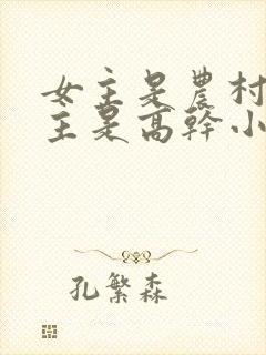 女主是农村的男主是高干小说