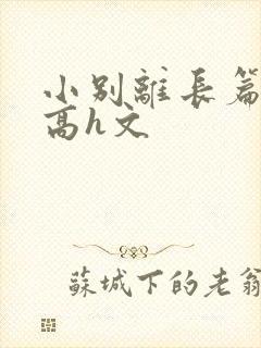 小别离长篇巨肉高h文