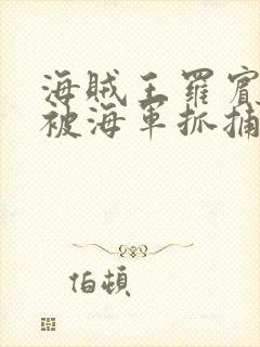 海贼王罗宾娜美被海军抓捕的小说