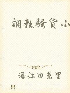 调教骚货小母狗封面