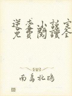 逆袭小说完整版免费阅读全文封面