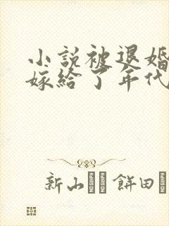 小说被退婚后我嫁给了年代文大佬封面