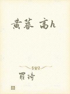 黄蓉 高h