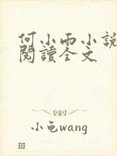 何小雨小说在线阅读全文