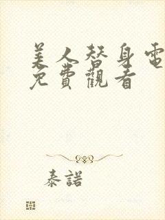 美人替身电视剧免费观看