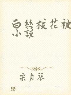 白丝校花被我操小说