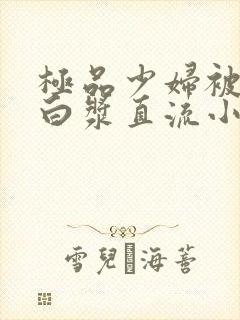 极品少妇被猛得白浆直流小说