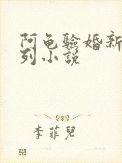 阿龟验婚新娘系列小说