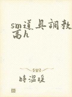 sm道具调教文高h