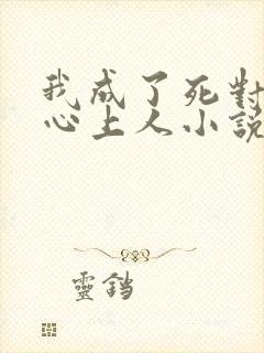 我成了死对头的心上人小说最新封面