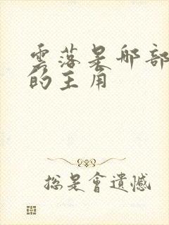 云落是哪部小说的主角封面