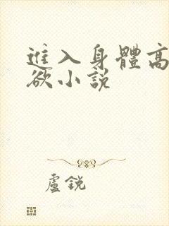 进入身体高潮情欲小说封面