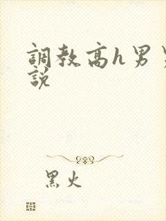 调教高h男男小说