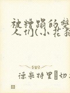 被糟蹋的双性美人们(小花猫)