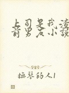 上司是我渣过的前男友小说免费阅读