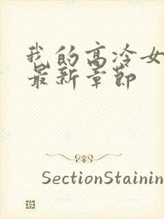 我的高冷女总裁最新章节封面