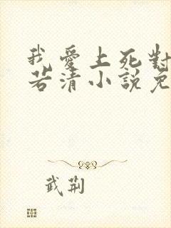 我爱上死对头裴若清小说免费阅读最