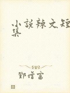 小说辣文短篇合集