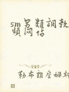 sm另类调教视频网站