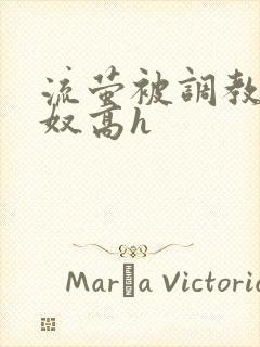 流萤被调教成肉奴高h封面