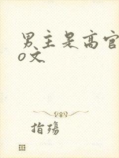 男主是高官的po文