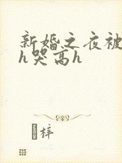 新婚之夜被肉伦h哭高h