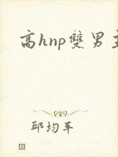 高hnp双男主封面