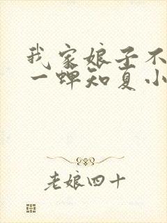 我家娘子不对劲一蝉知夏小说无弹窗