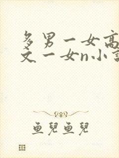 多男一女高辣h文一女n小说封面