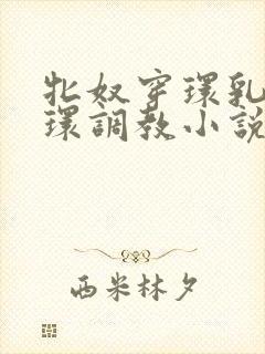 牝奴穿环乳环蒂环调教小说