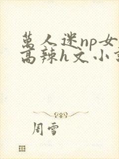 万人迷np女嬷高辣h文小说免费阅读