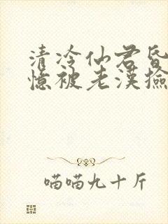 清冷仙君昏迷失忆被老汉捡到小说